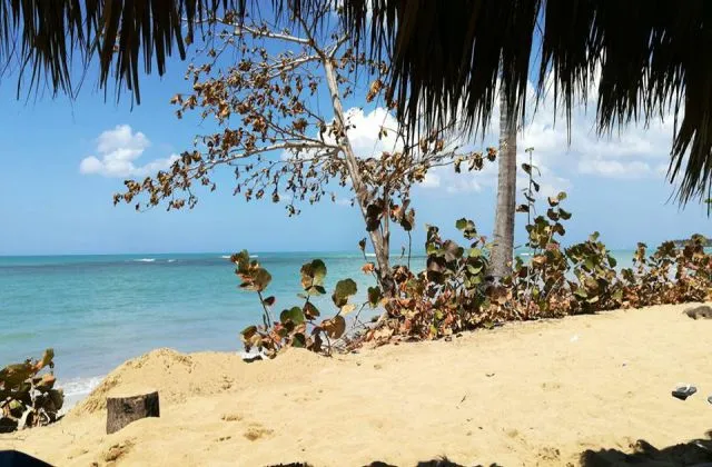 Beach Residence Las Palmas Las Terrenas Samana Dominican Republic
